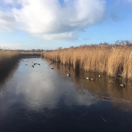 Lägenhet Unique Sea Views - Peace & Nature - Near Tram Stop